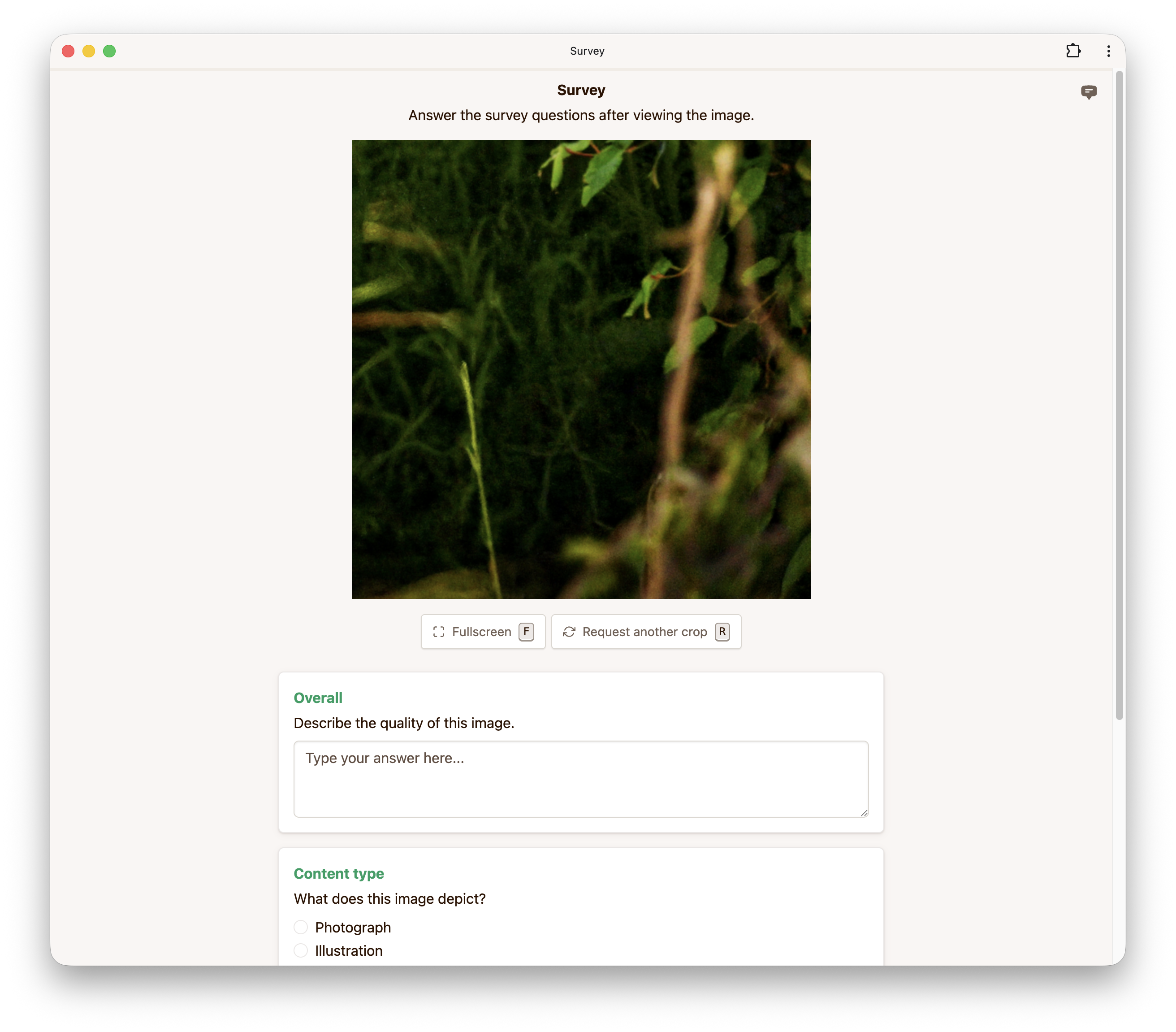 Survey image interface