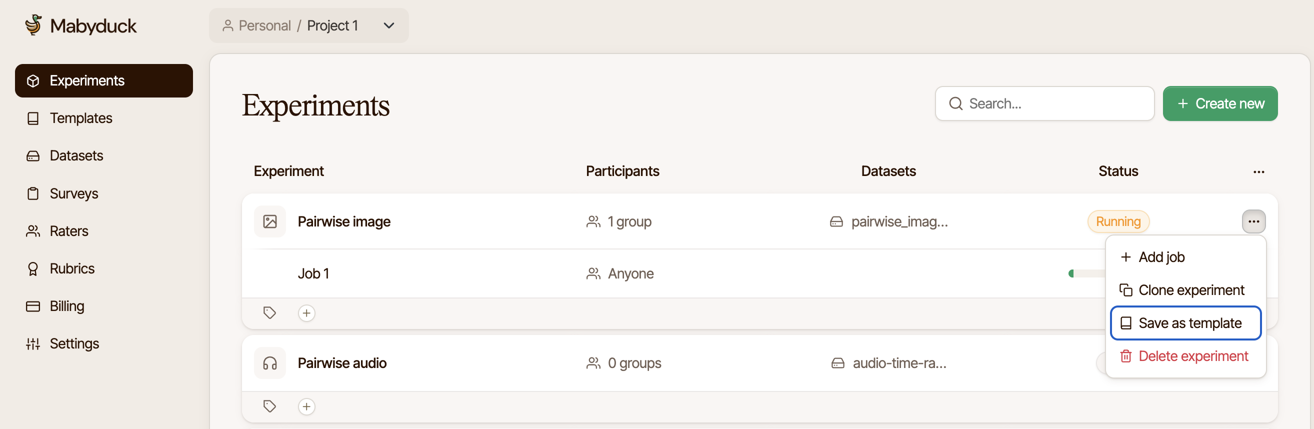 Experiment action menu using the "Save as template" option