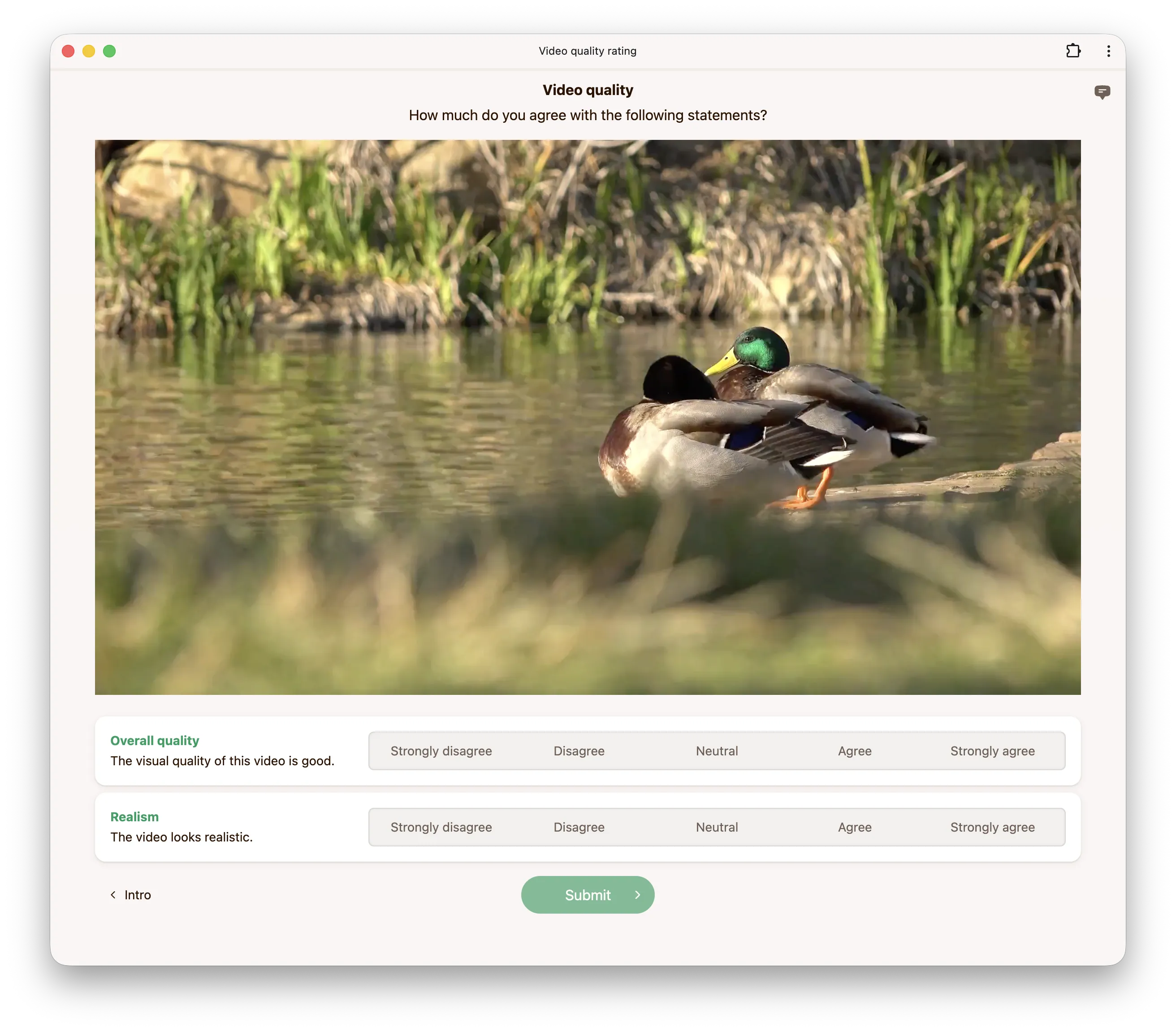 Rubric video interface