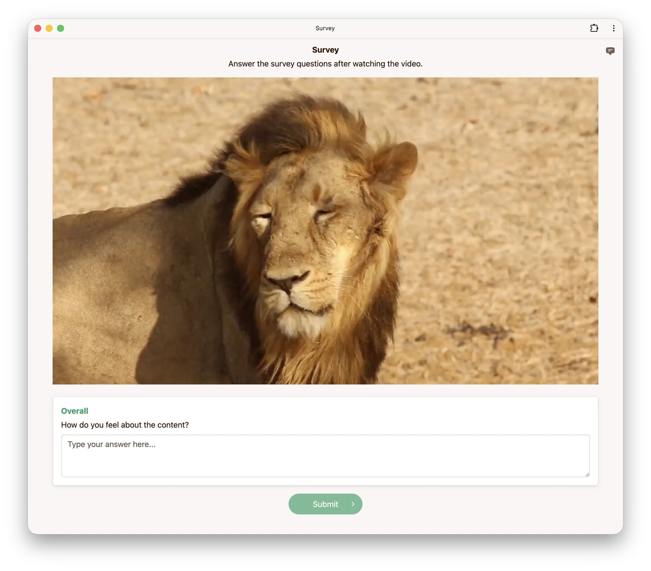 Survey video interface